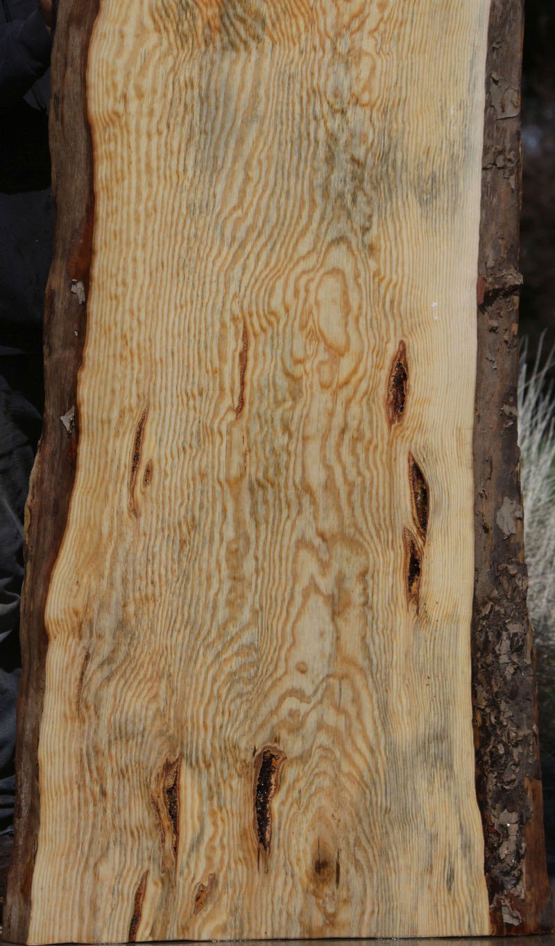 Rustic Ponderosa Pine Slab