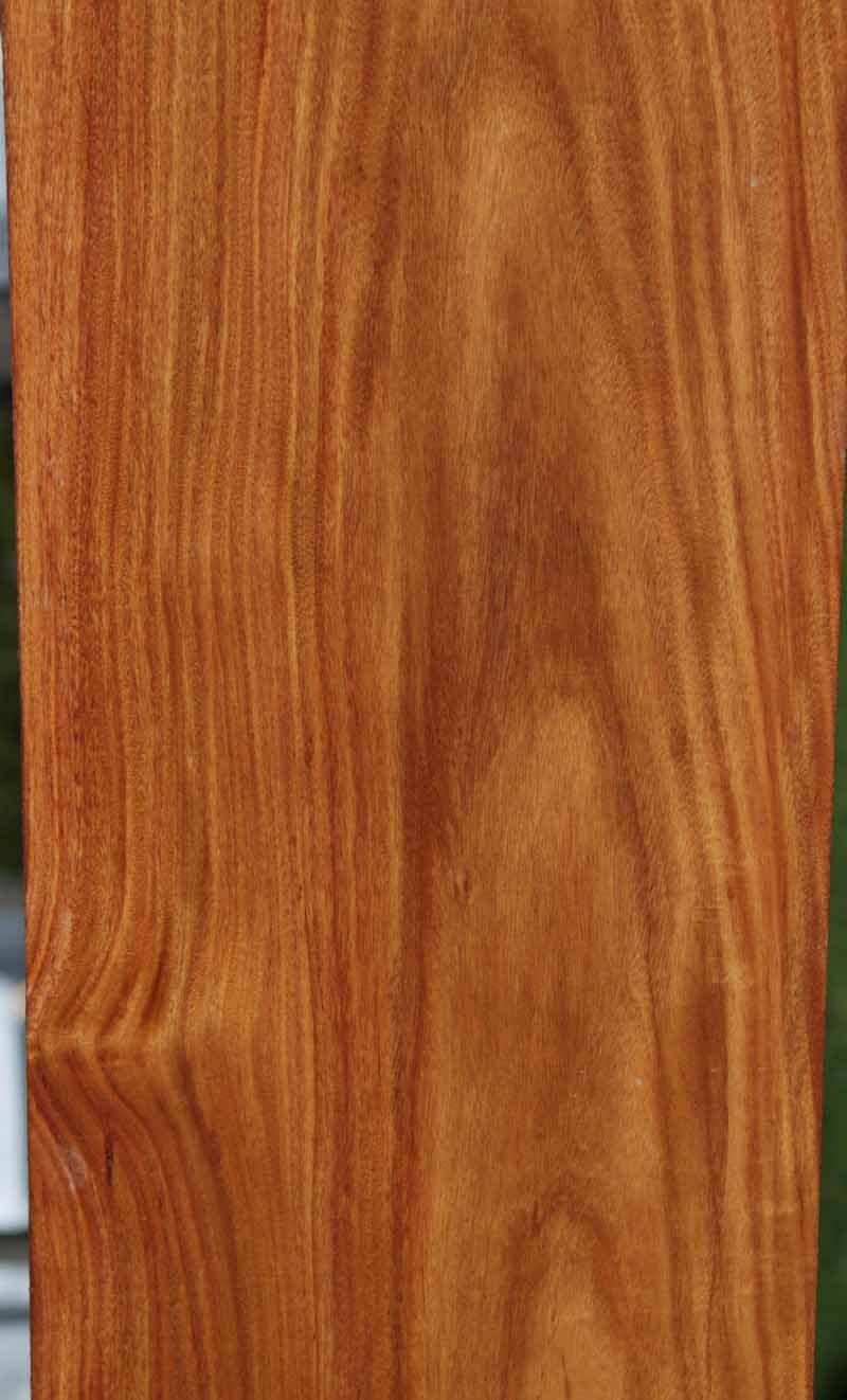 Santos Mahogany Long Lumber