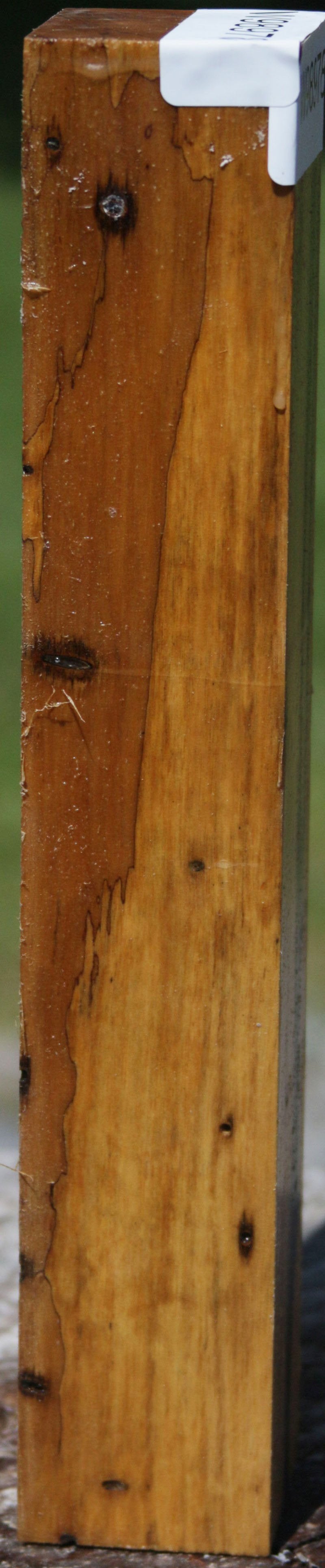 Wormy Black and White Ebony Turning Square