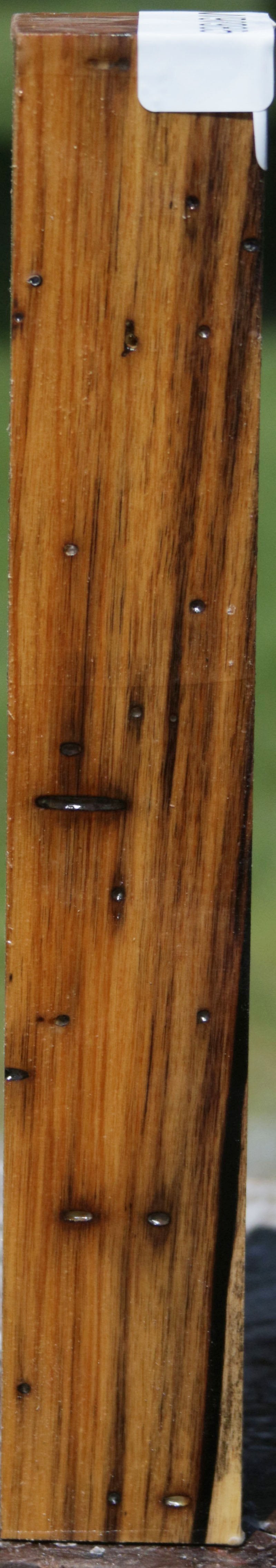 Black and White Ebony Turning Square
