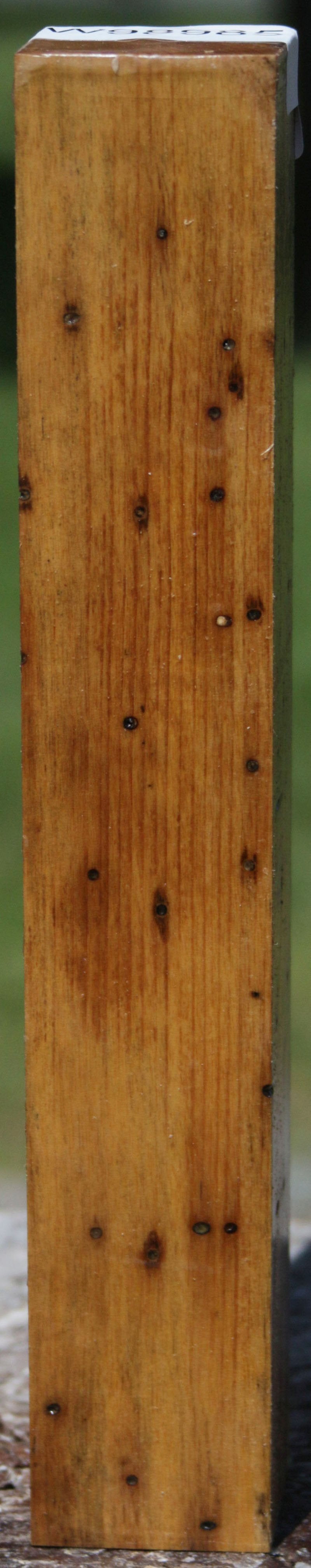 Black and White Ebony Turning Square