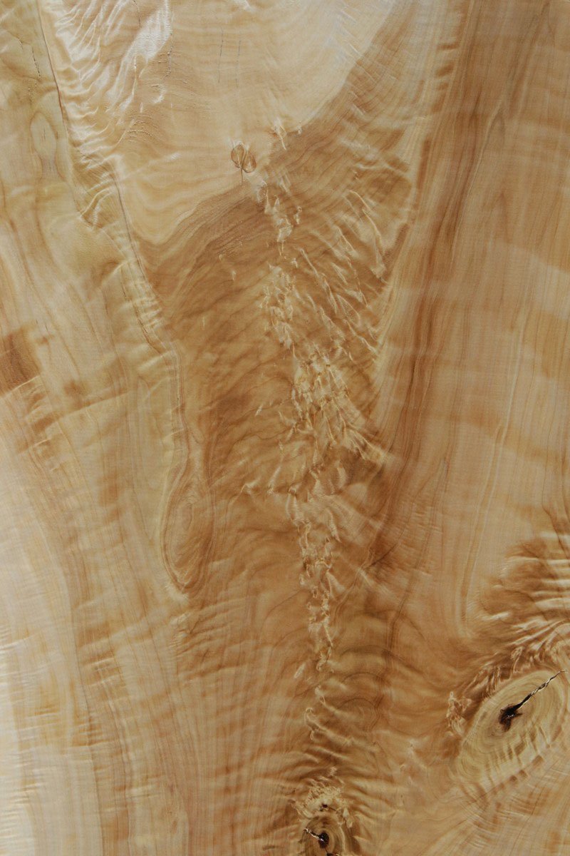 Tulip Poplar Crotch Figure Slab