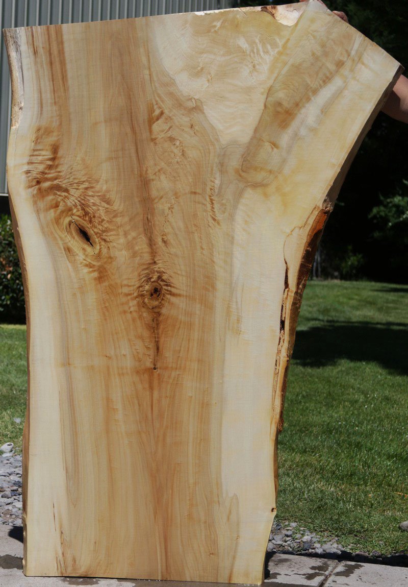Tulip Poplar Crotch Figure Slab