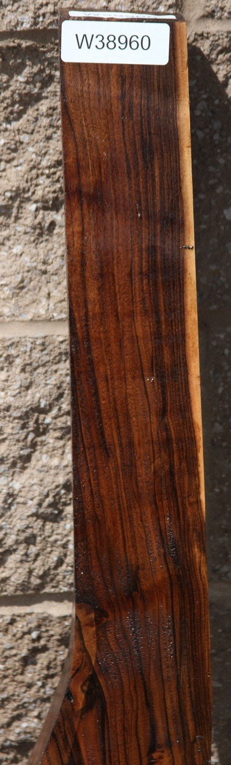Exhibition Grade Marblecake English Walnut Feather Crotch Rifle Blank