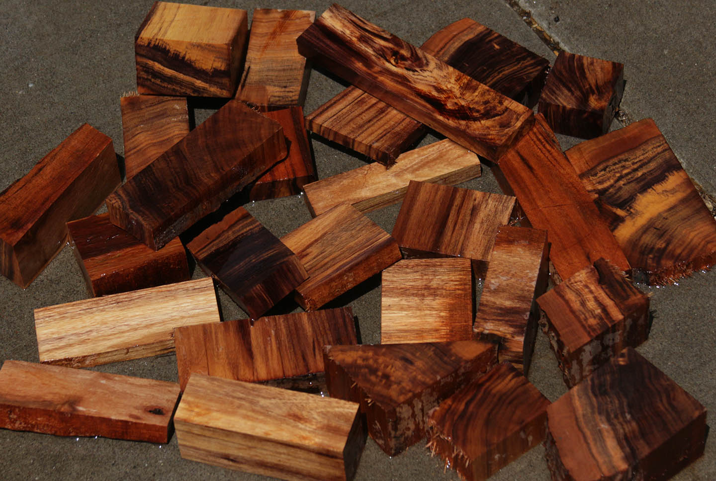 Patagonian Rosewood Cut Offs - Medium Box (MFRB)