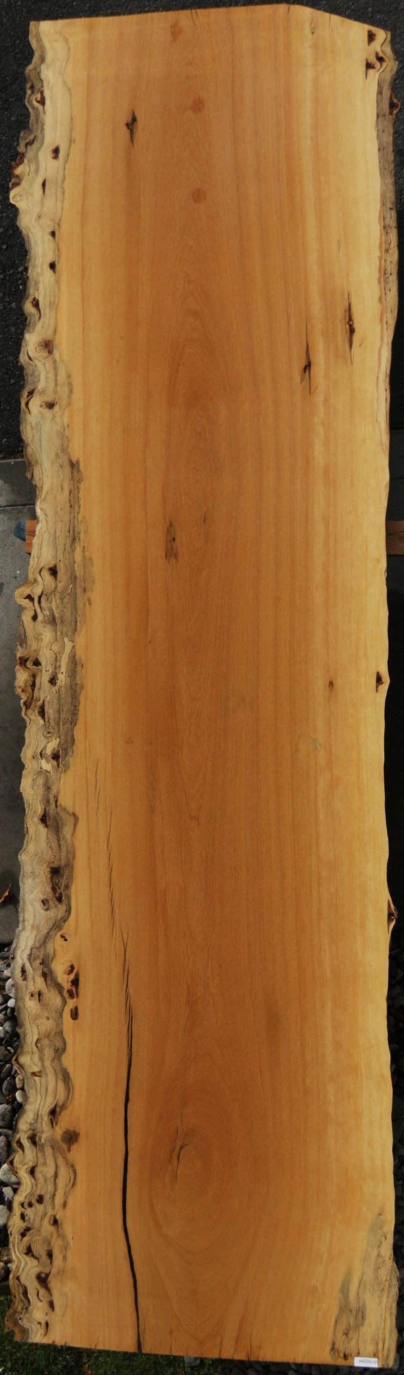 Figured Live Edge Piquiarana Slab