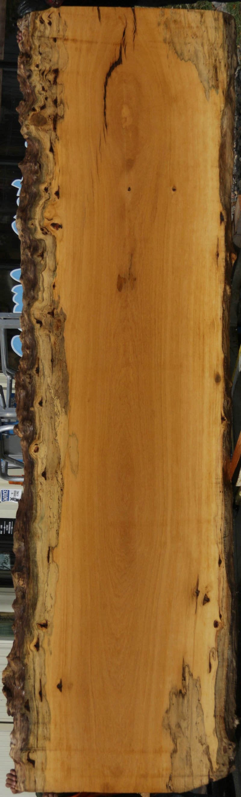 Figured Live Edge Piquiarana Slab