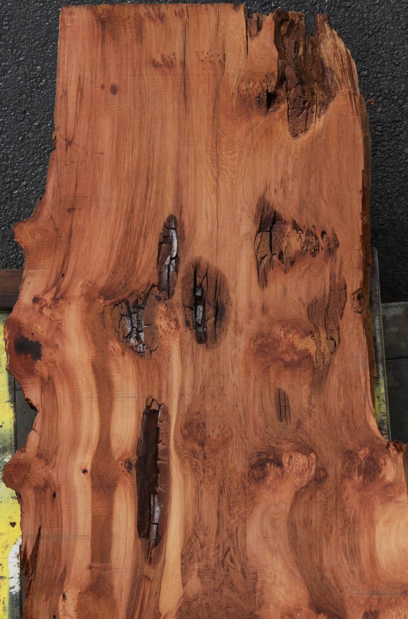Redbud Slab Extra Fancy Cluster Burl Redwood Slab – Cook Woods