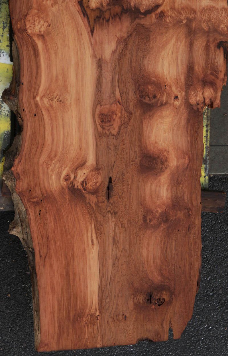 Redbud Slab Extra Fancy Cluster Burl Redwood Slab – Cook Woods