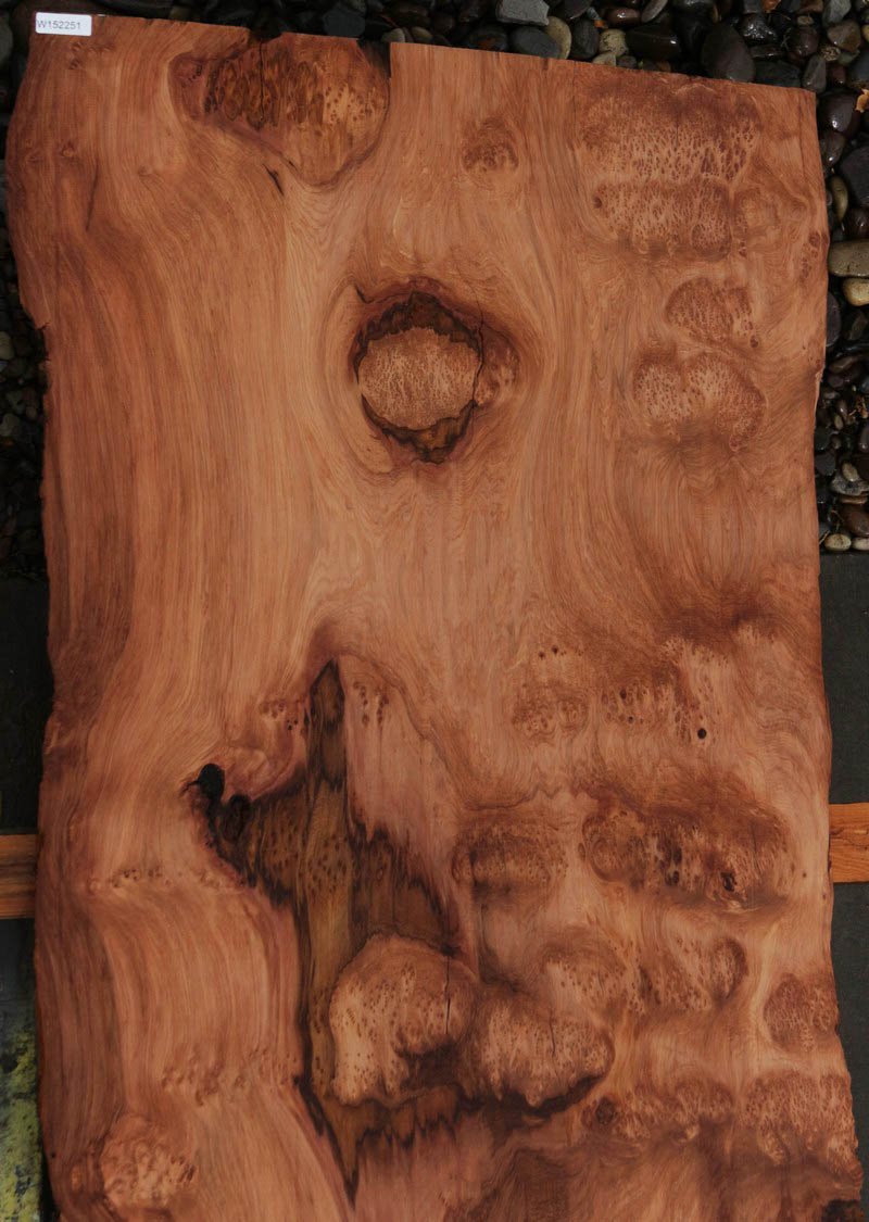 Redbud Slab Extra Fancy Cluster Burl Redwood Slab – Cook Woods