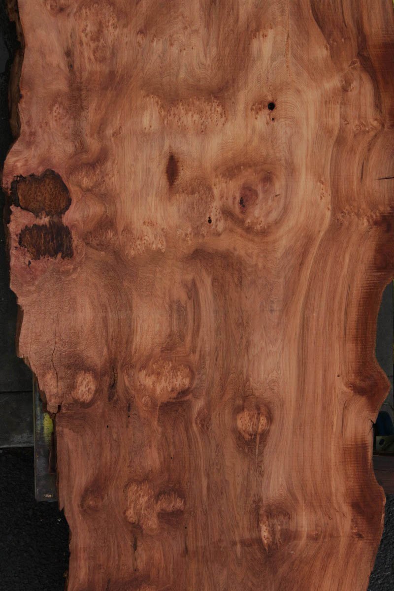 Redbud Slab Extra Fancy Rustic Redwood Slab – Cook Woods