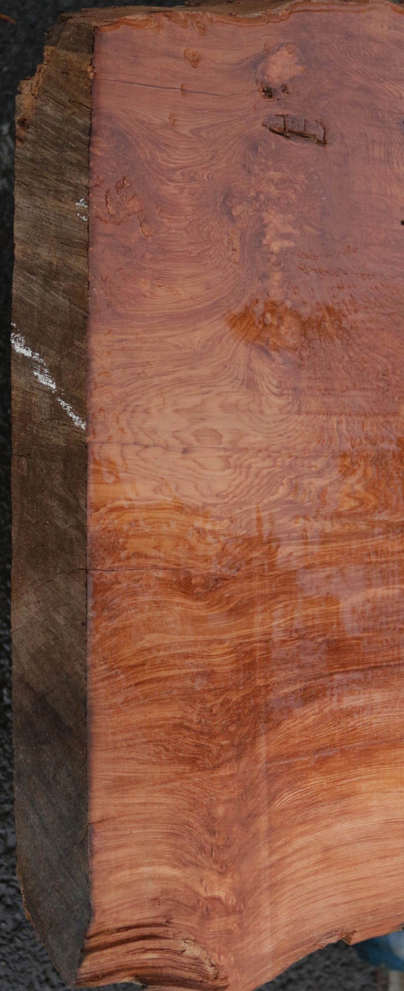 Redbud Slab Extra Fancy Rustic Redwood Slab – Cook Woods