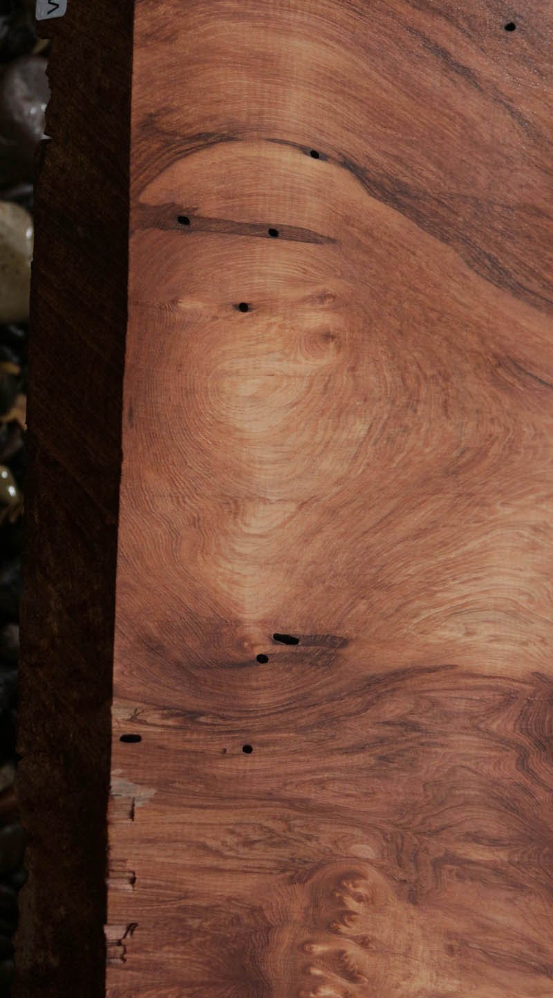 Redbud Slab Extra Fancy Rustic Redwood Slab – Cook Woods