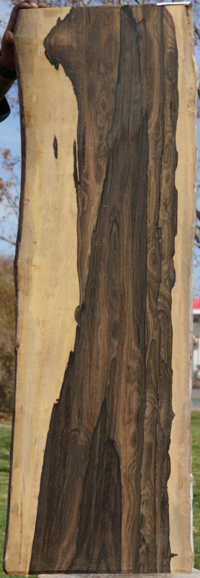 Ziricote Lumber – Cook Woods