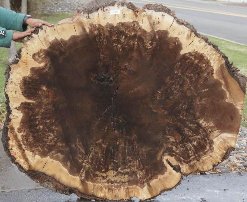 Claro Walnut Burl Cookie (Free Shipping Excluded)