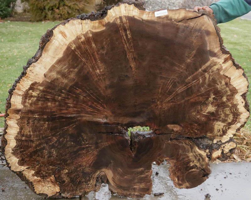 Claro Walnut Burl Cookie
