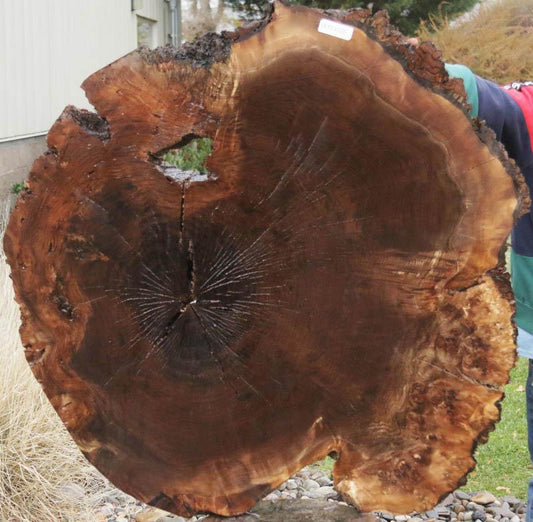 Claro Walnut Burl Cookie