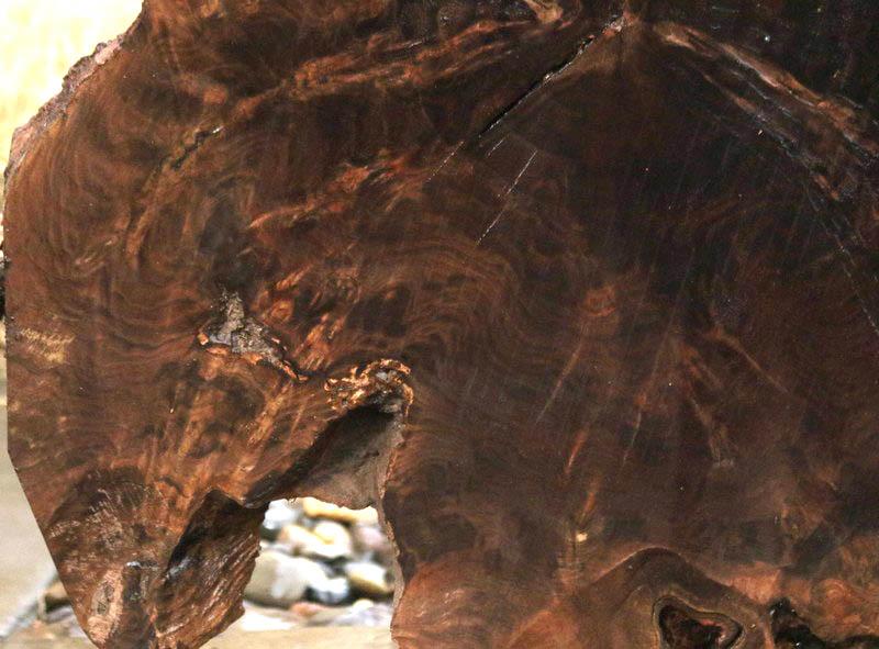 Claro Walnut Burl Cookie