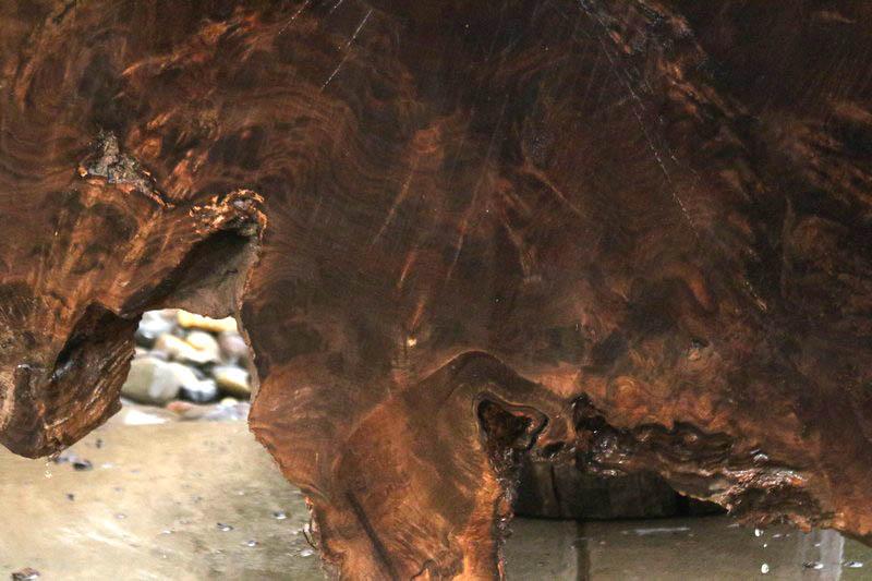 Claro Walnut Burl Cookie