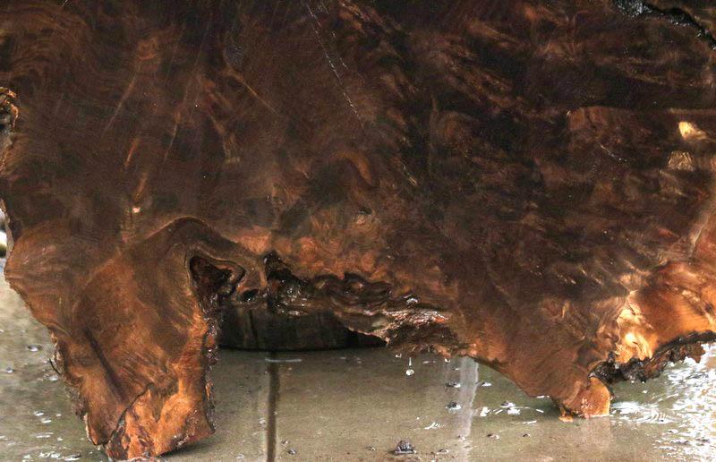 Claro Walnut Burl Cookie