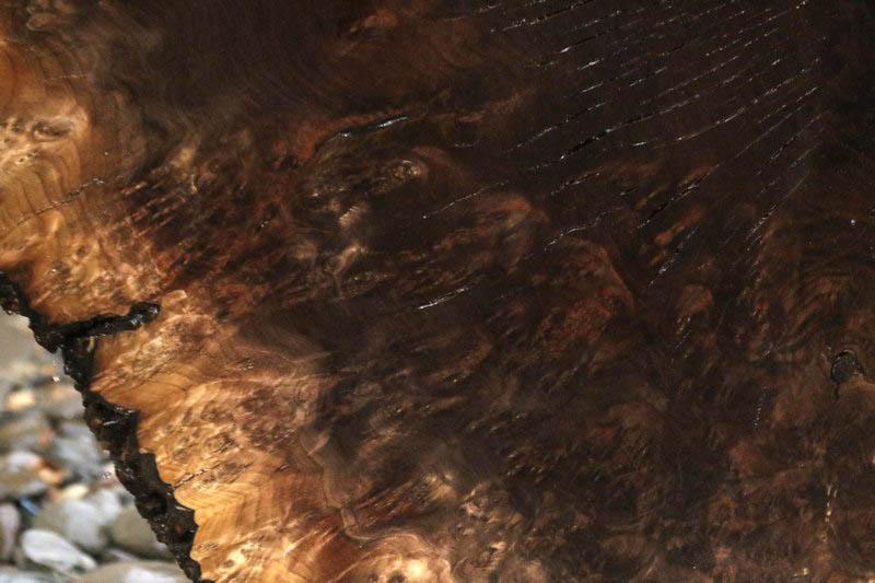 Claro Walnut Burl Cookie