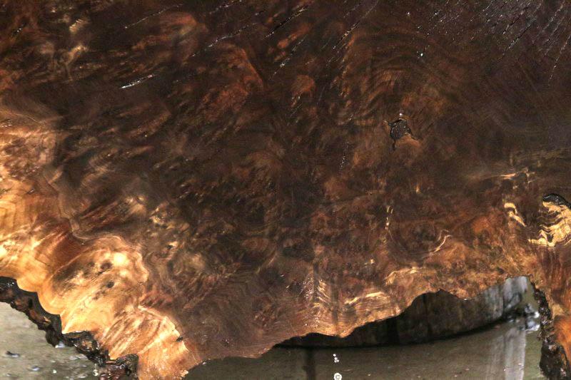 Claro Walnut Burl Cookie