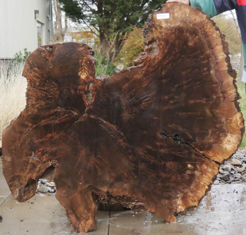 Claro Walnut Burl Cookie