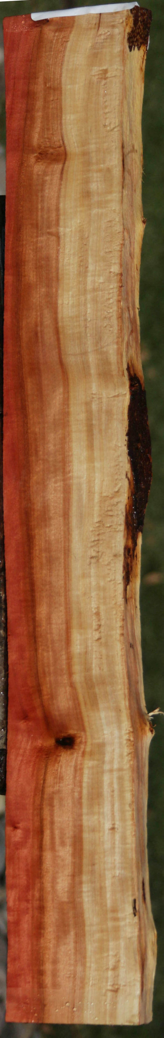 Pink Ivory Live Edge Lumber