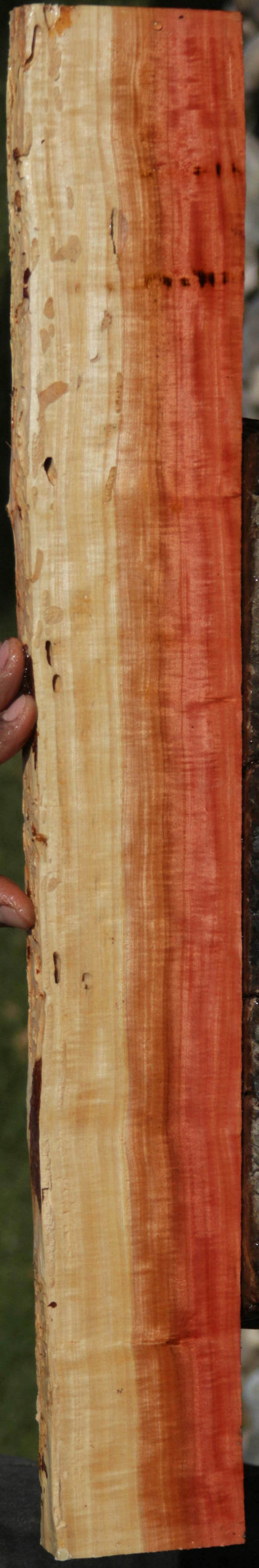 Pink Ivory Live Edge Lumber