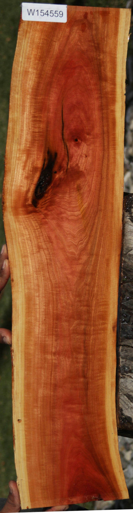 Rustic Pink Ivory Live Edge Lumber