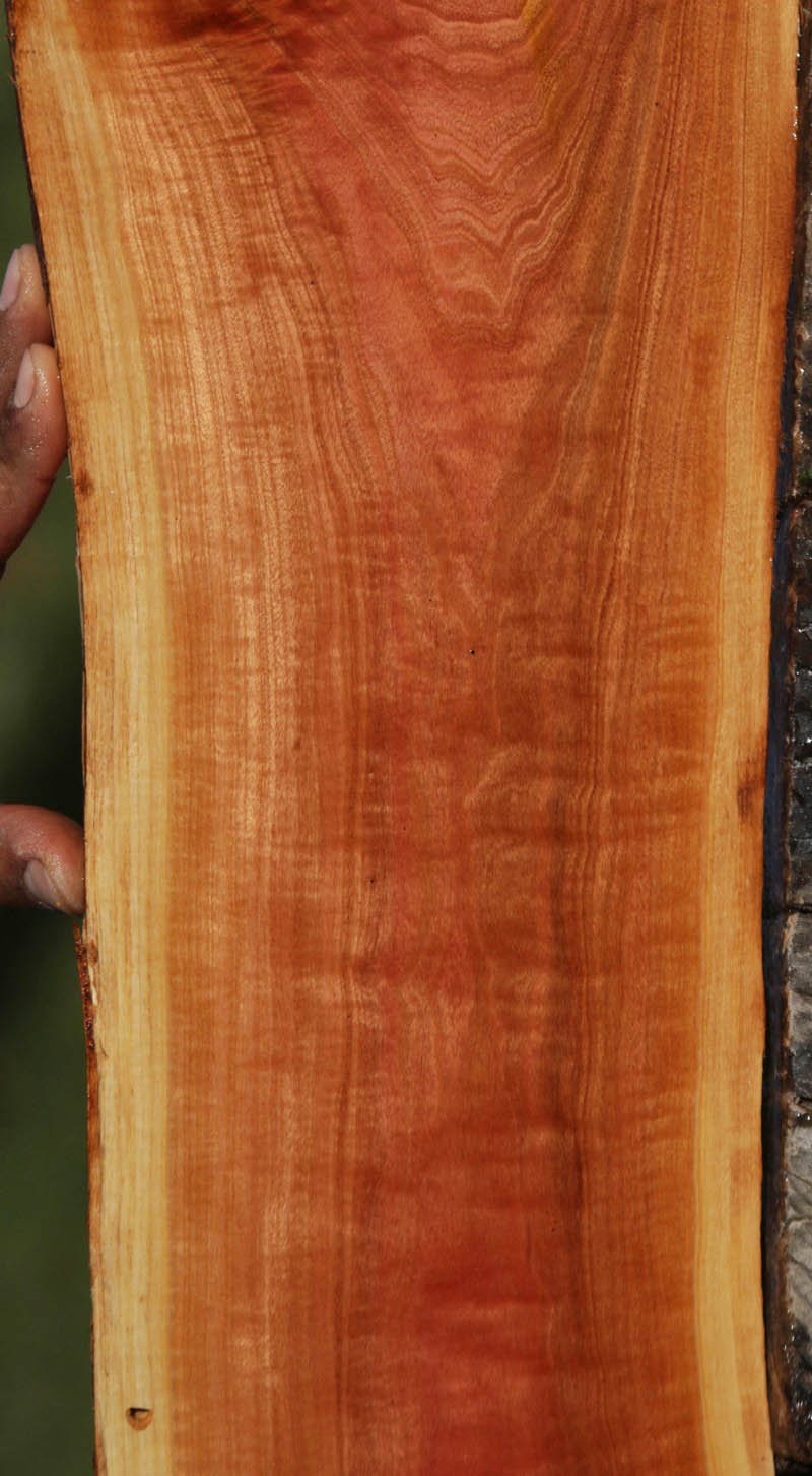 Rustic Pink Ivory Live Edge Lumber