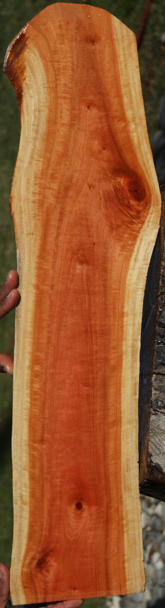 Pink Ivory Live Edge Lumber
