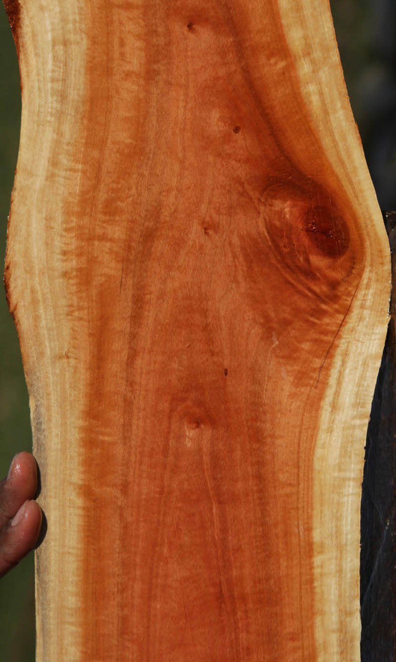 Pink Ivory Live Edge Lumber