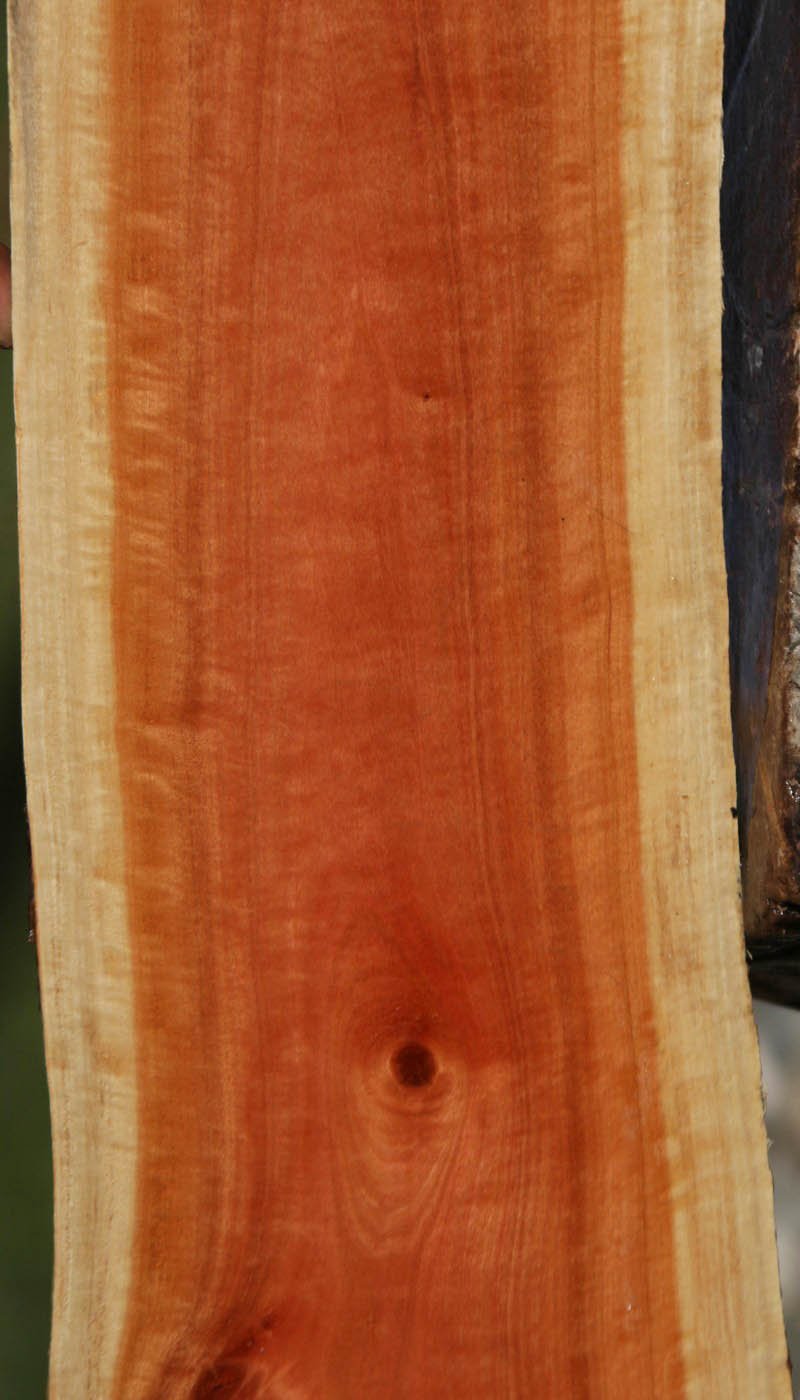Pink Ivory Live Edge Lumber