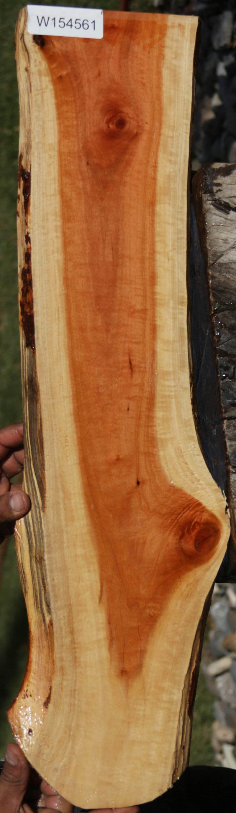 Pink Ivory Live Edge Lumber