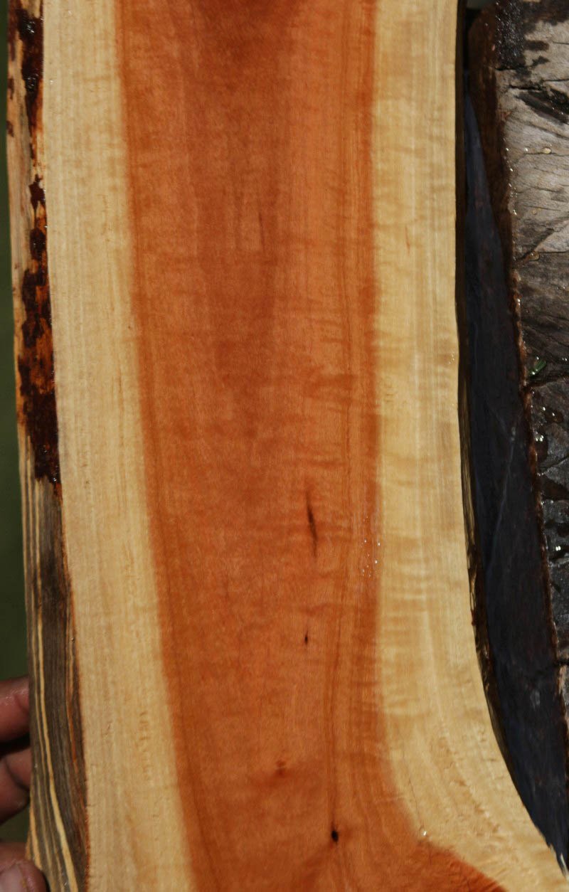 Pink Ivory Live Edge Lumber