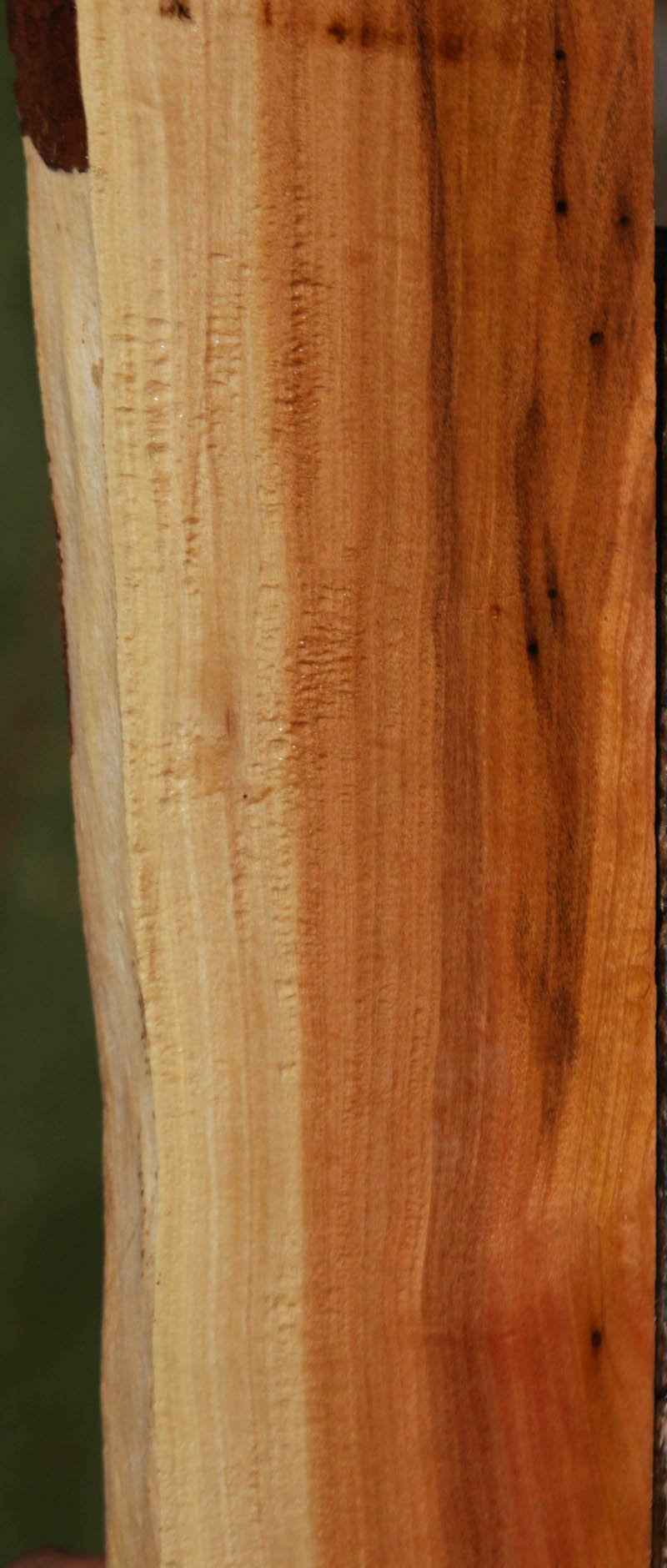 Pink Ivory Live Edge Lumber