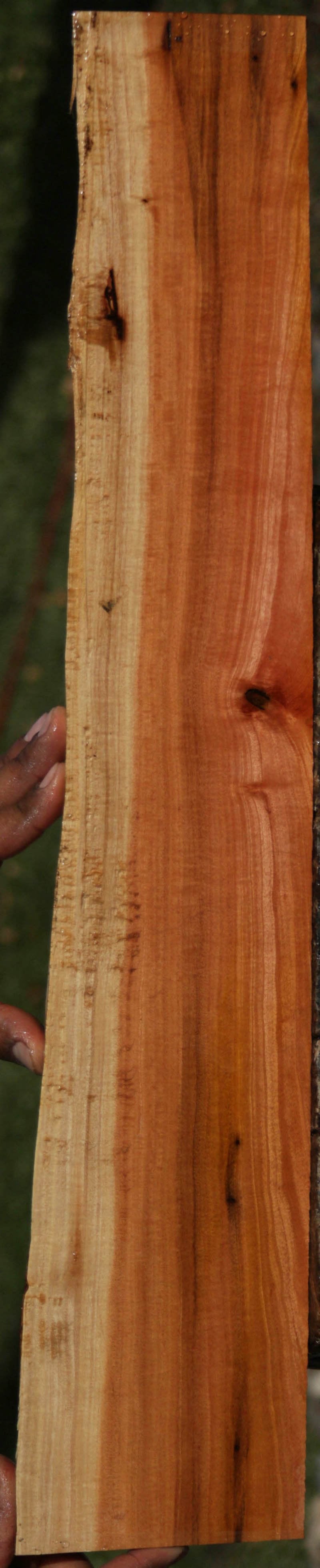 Pink Ivory Live Edge Lumber