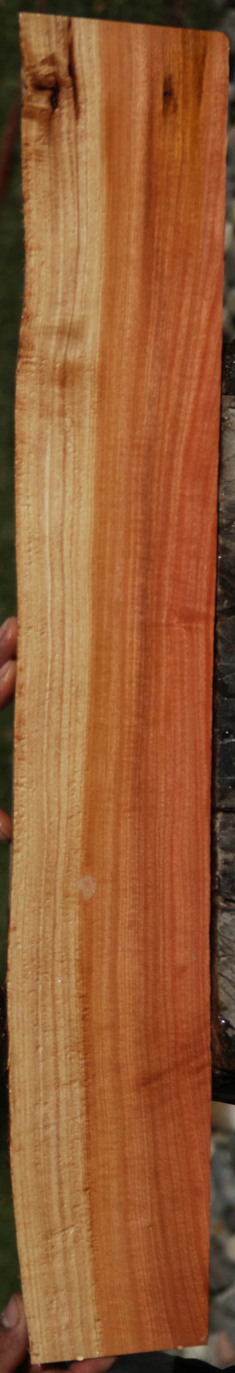 Pink Ivory Live Edge Lumber