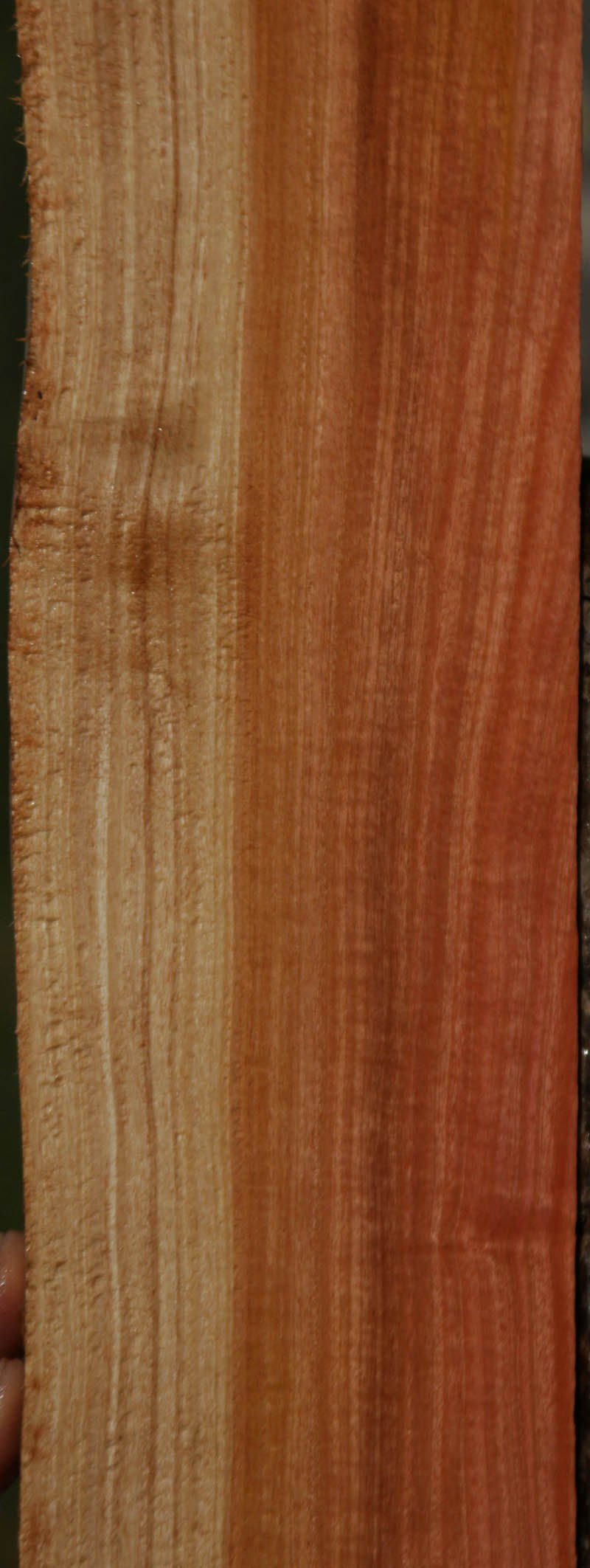 Pink Ivory Live Edge Lumber