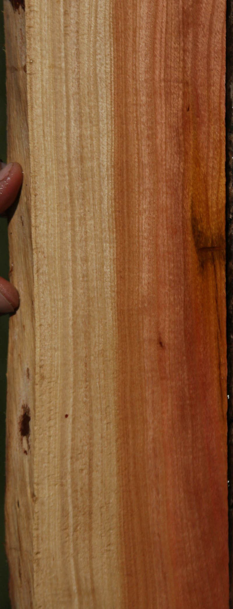 Pink Ivory Live Edge Lumber