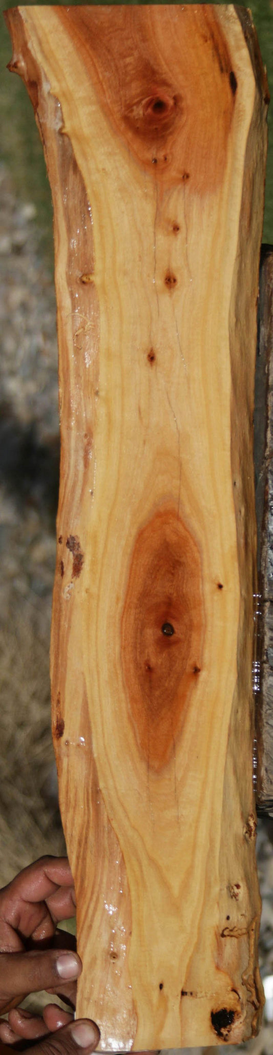 Pink Ivory Live Edge Micro Lumber