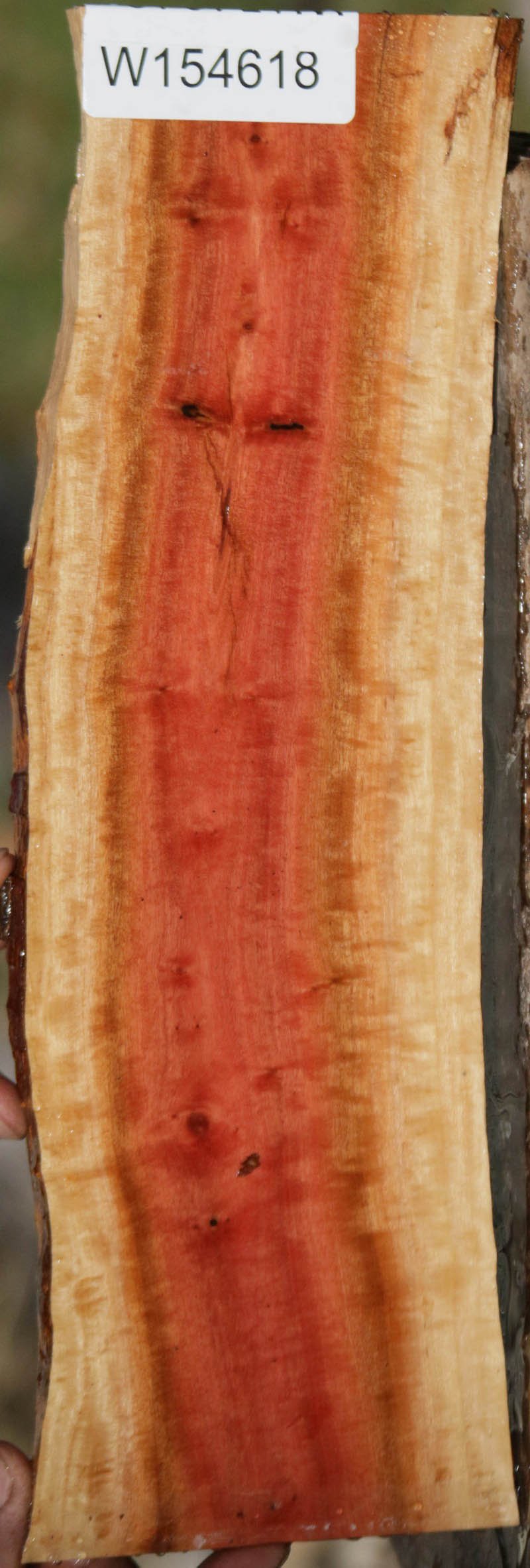 Pink Ivory Live Edge Micro Lumber