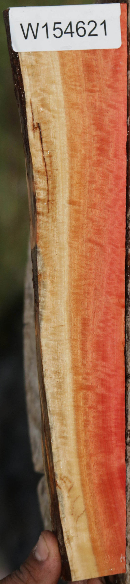 Pink Ivory Live Edge Lumber