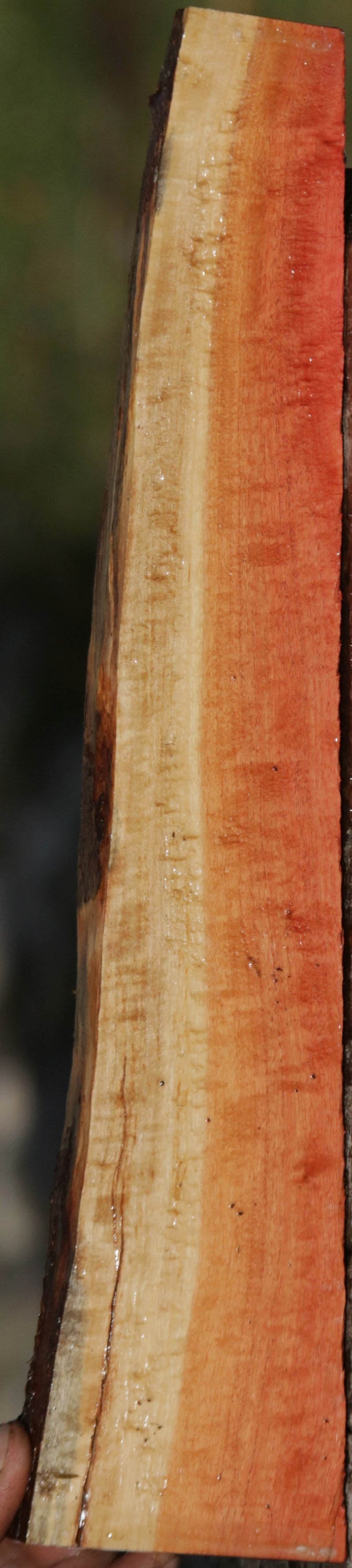 Pink Ivory Live Edge Lumber