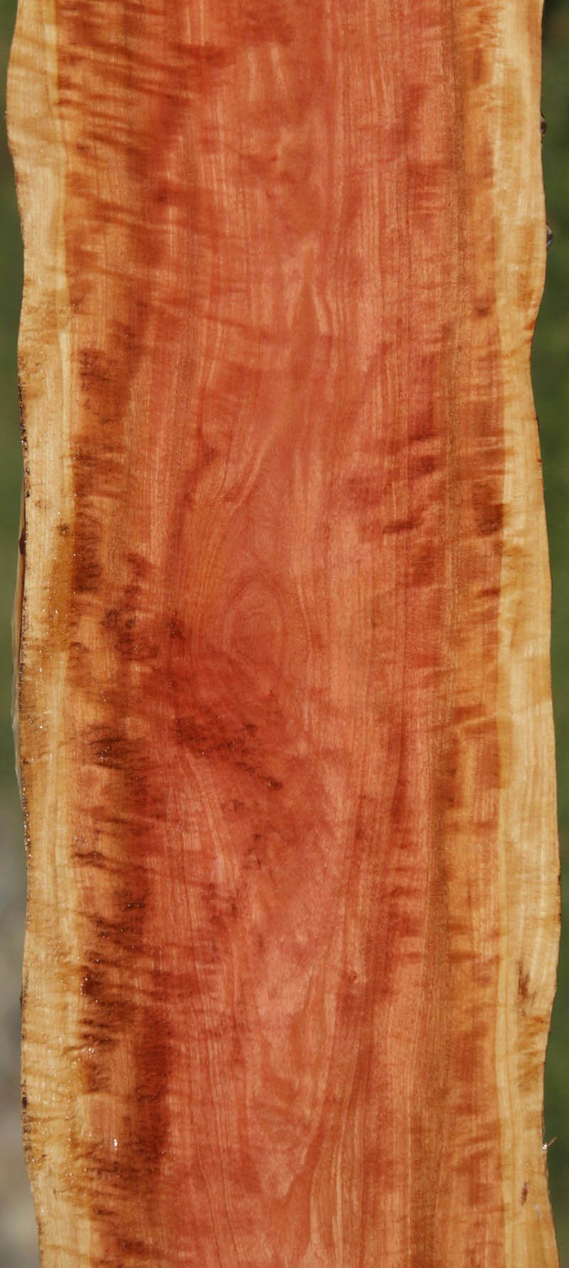 Pink Ivory Live Edge Lumber