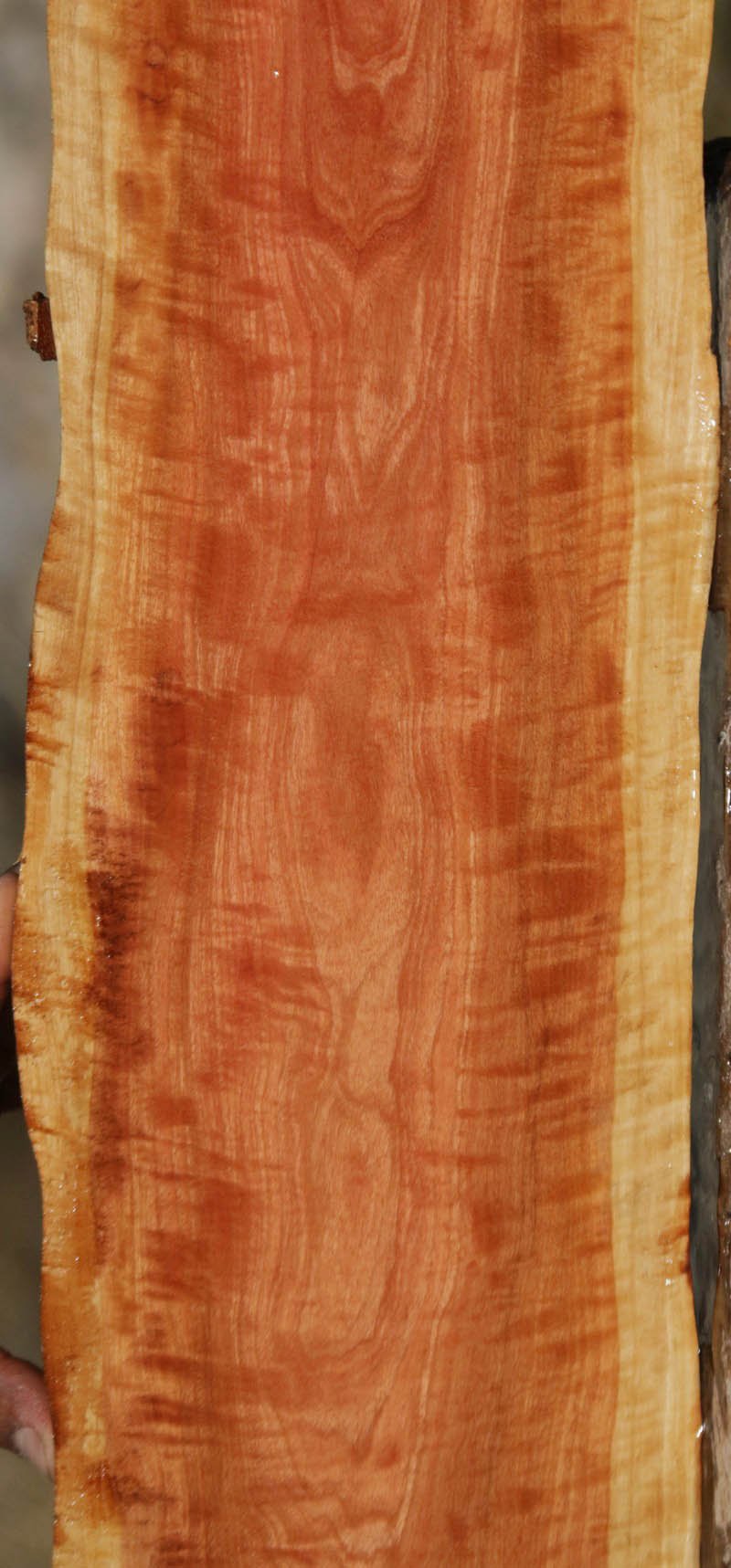 Pink Ivory Live Edge Lumber