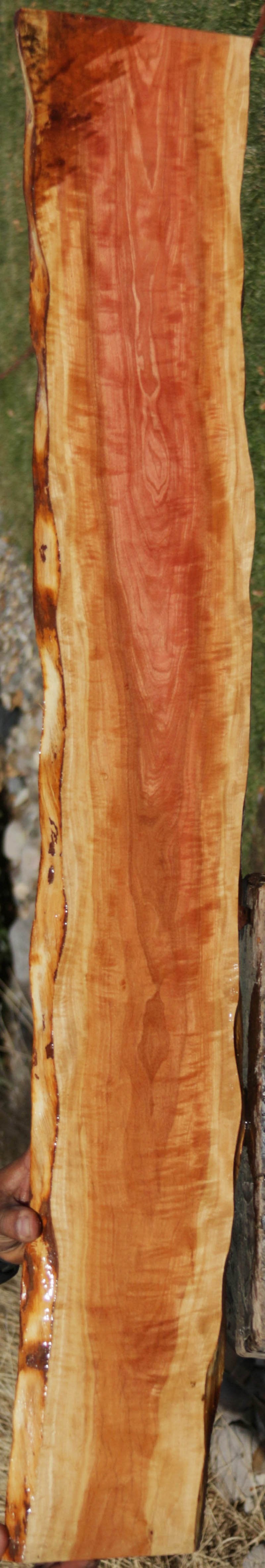 Pink Ivory Live Edge Lumber