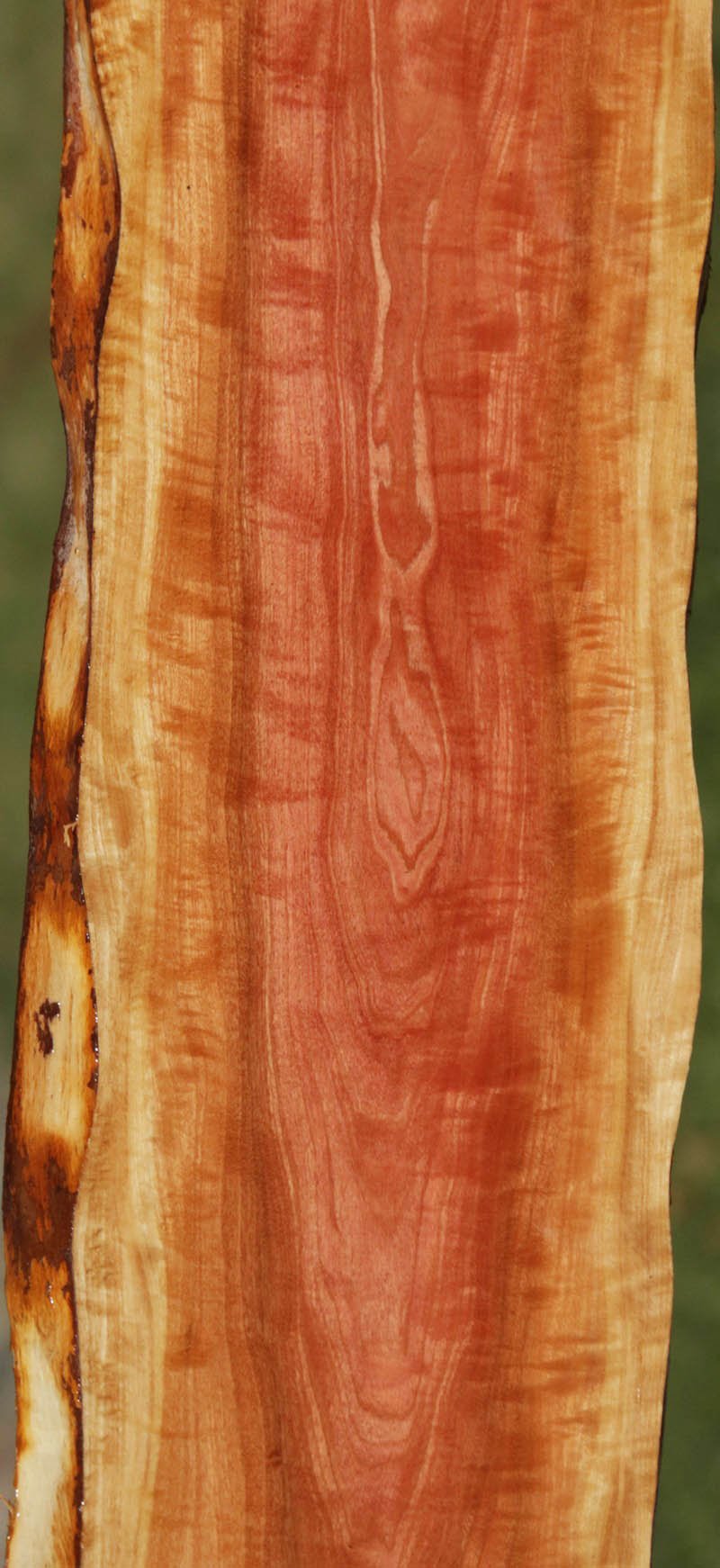 Pink Ivory Live Edge Lumber