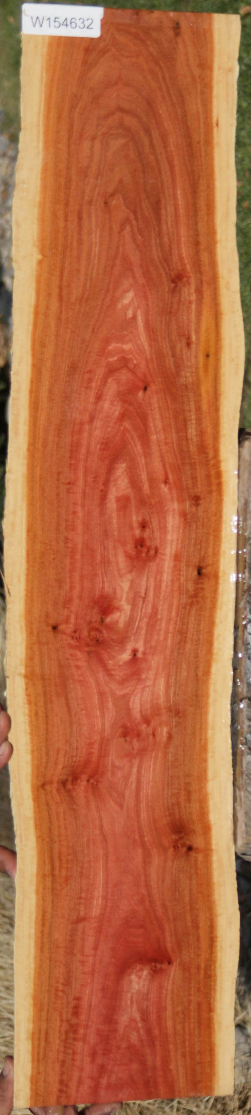 Pink Ivory – Cook Woods